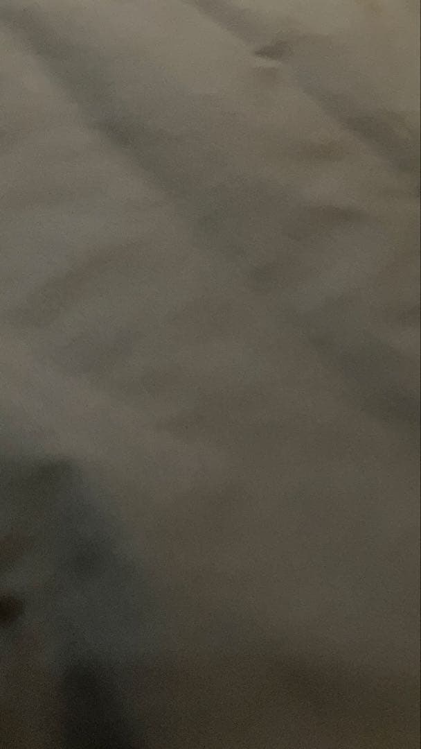 【試着のみ】 TAION 別注 ダウン モンスターベスト