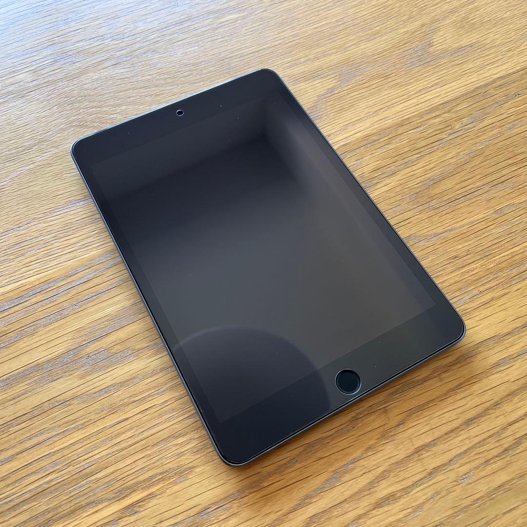iPad mini 第5世代 256GB スペースグレー　フルセット