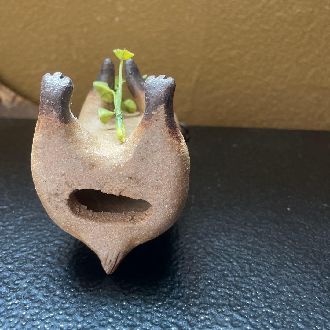 かとうゆみ　カピバラ