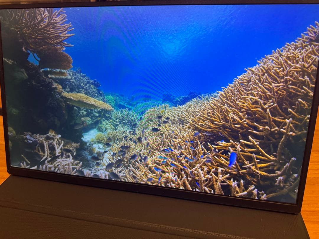 Acouto XC18 18.5インチ モバイルディスプレイ