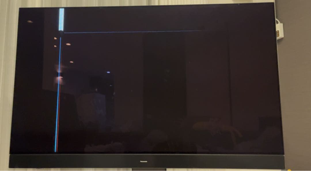 Panasonic 有機ELテレビ VIERA TV-55Z95A 55インチ