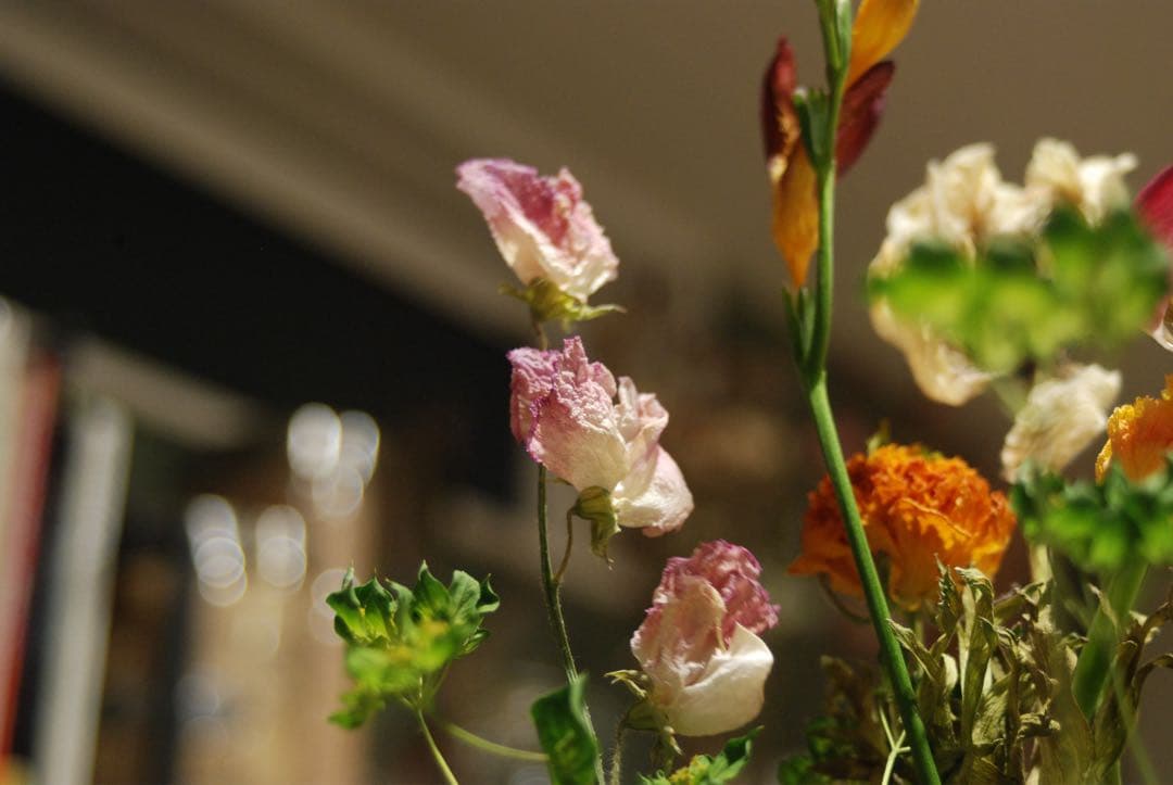 Nikon D80 CCDデジタル一眼 ニッコール　35-70レンズ付　動作品