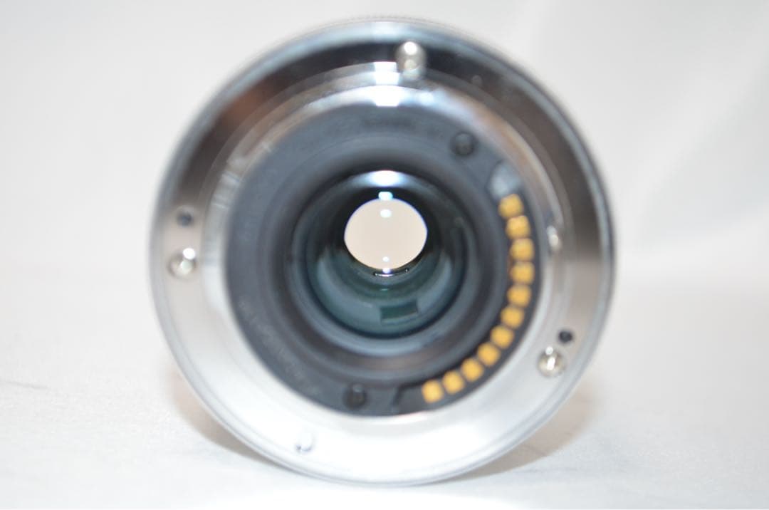 パナソニック Panasonic LUMIX G VARIO 35-100mm