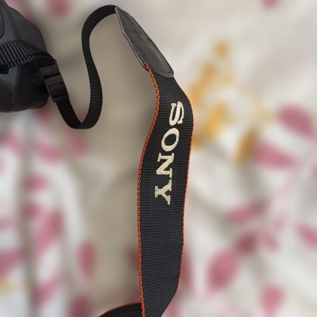 Sony α200 デジタル一眼レフカメラセットバック付き