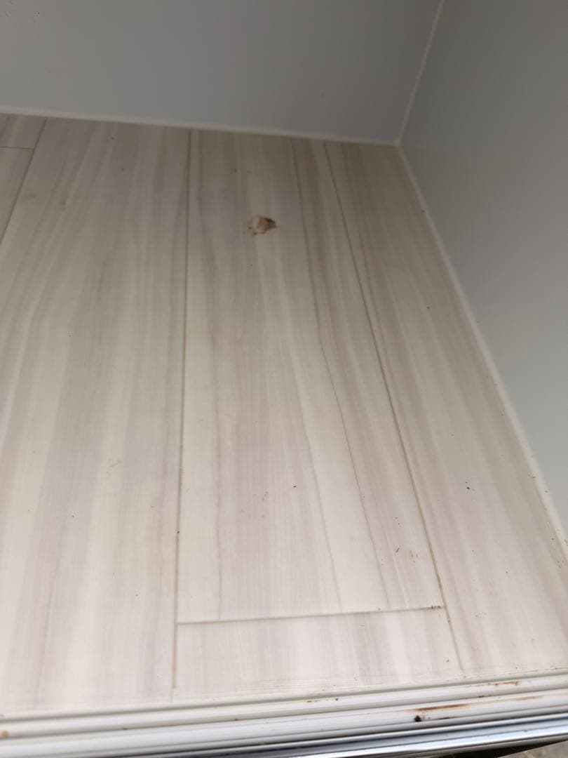 専用 引き取り限定 ポポのケージ 2段1段ラック セット