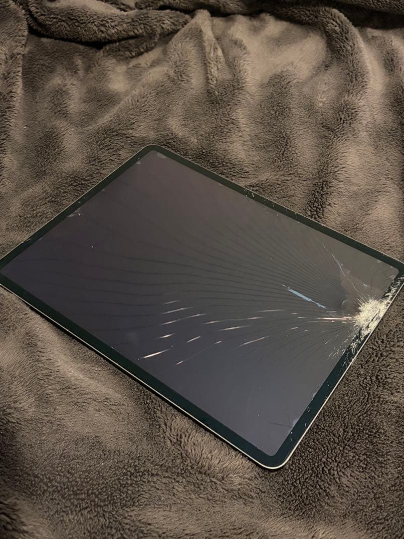 【ジャンク】iPad Pro 12.9 第3世代(2018)