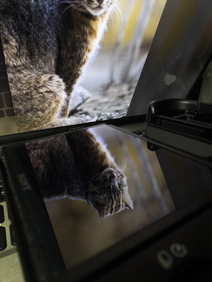 SONY α7 II ミラーレスカメラ 本体 ボディ/純正バッテリー2個付