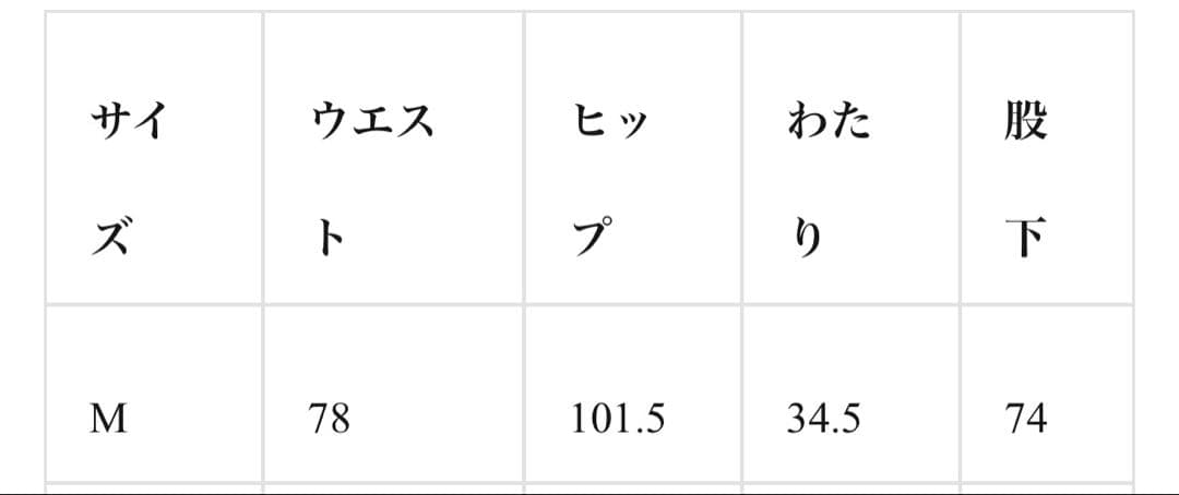 パンツ jentlouis Zip slit Cargo Denim Pants