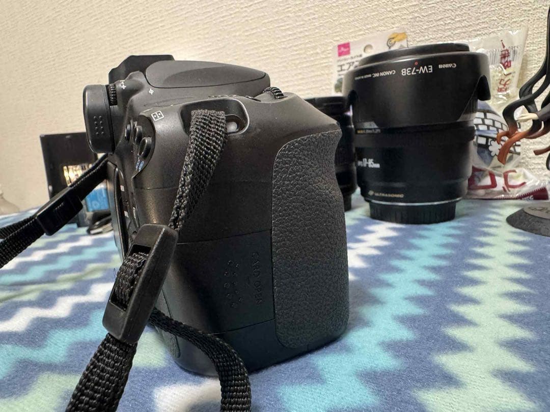 Canon 60D デジタル一眼レフカメラ EF-Sレンズ2本付き