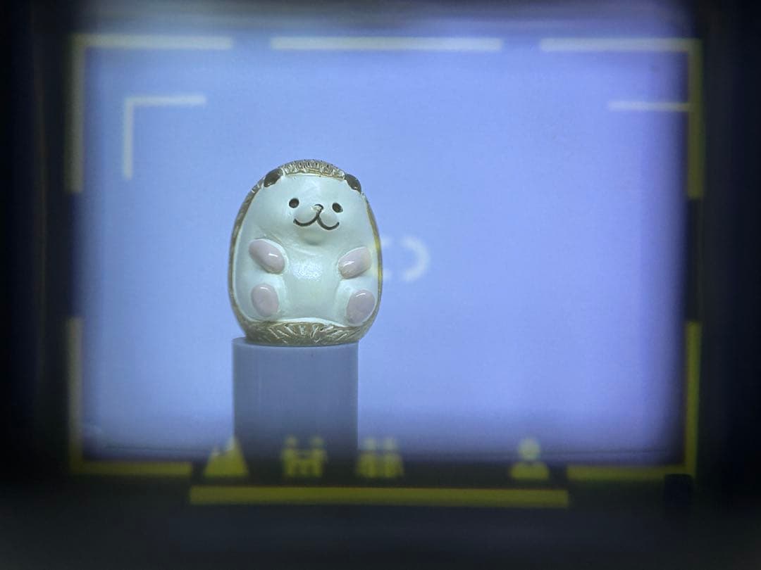 Nikon ニコン L35AF2 ニューピカイチ 動作品 コンパクトカメラ 1