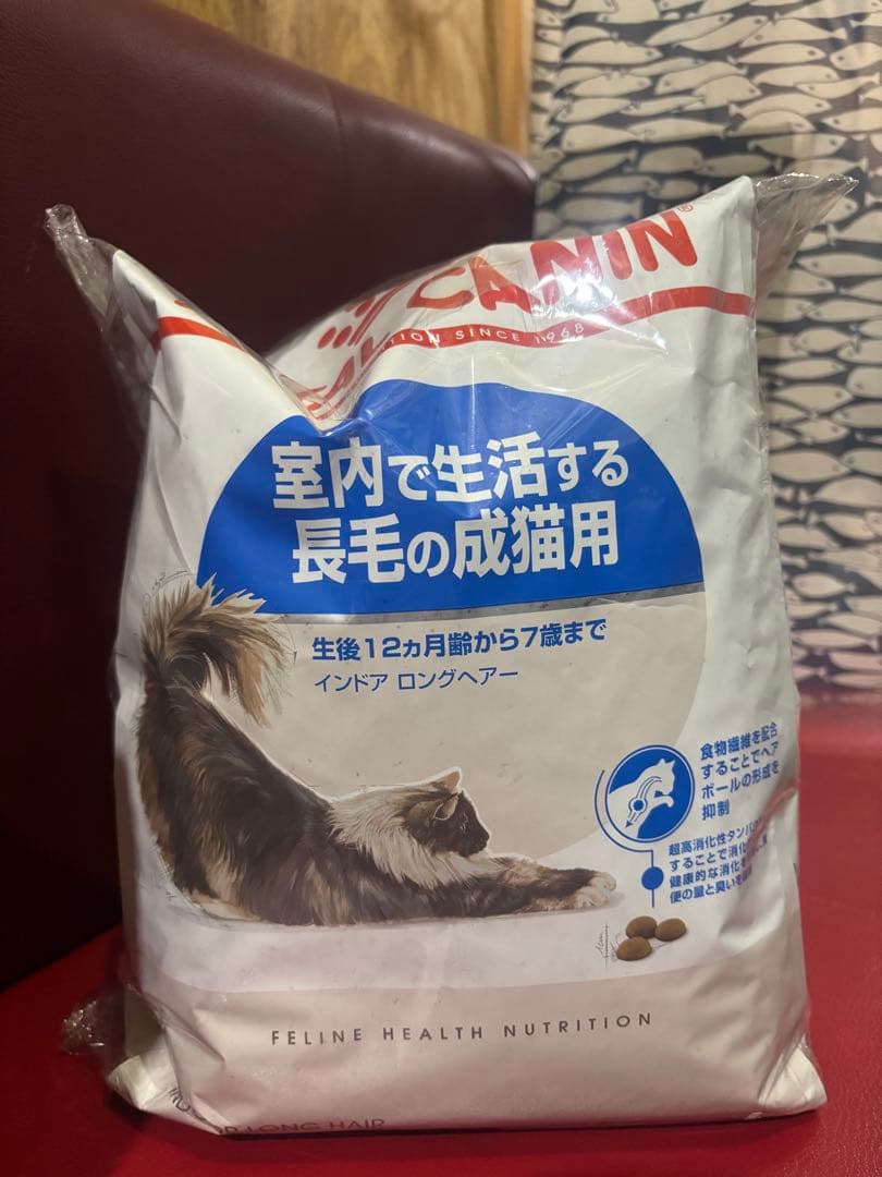 ロイヤルカナン✴︎ちゅーる付き　室内で生活する長毛の成猫用　インドア　 4kg