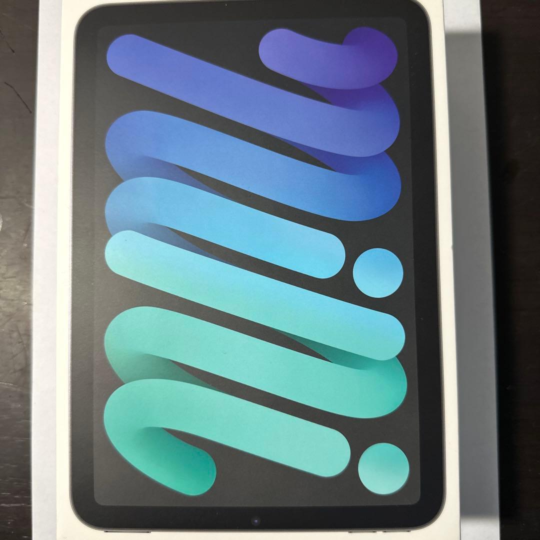 【美品！】iPad mini (第6世代) 256GB Wi-Fi おまけ付き！