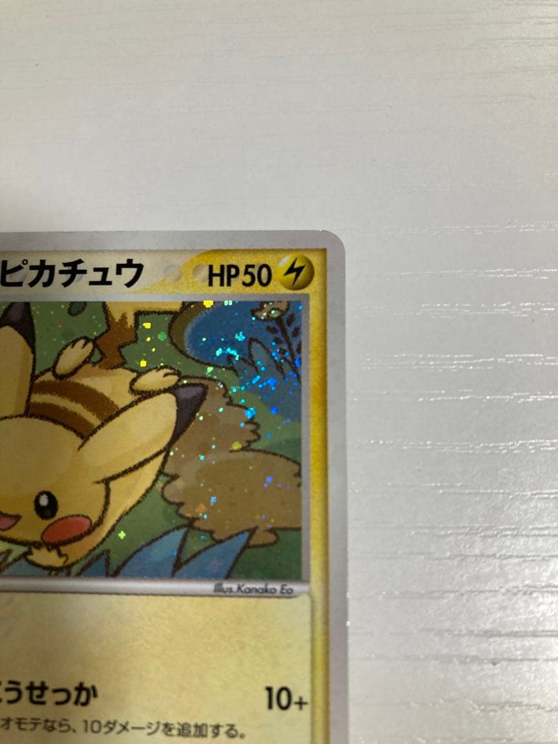 r*i様 ポケパーク　ピカチュウ