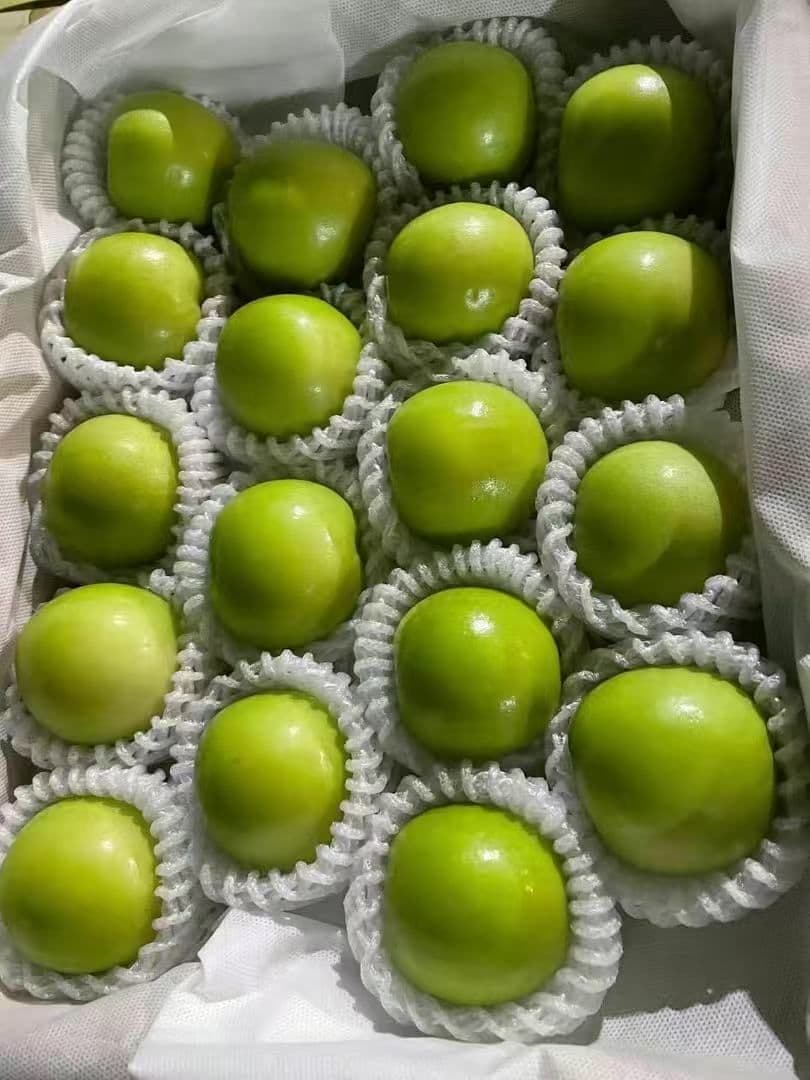 369新鮮台湾ナツメ　台湾青棗 2.5kg前後(１８~24玉)玉数お任せ