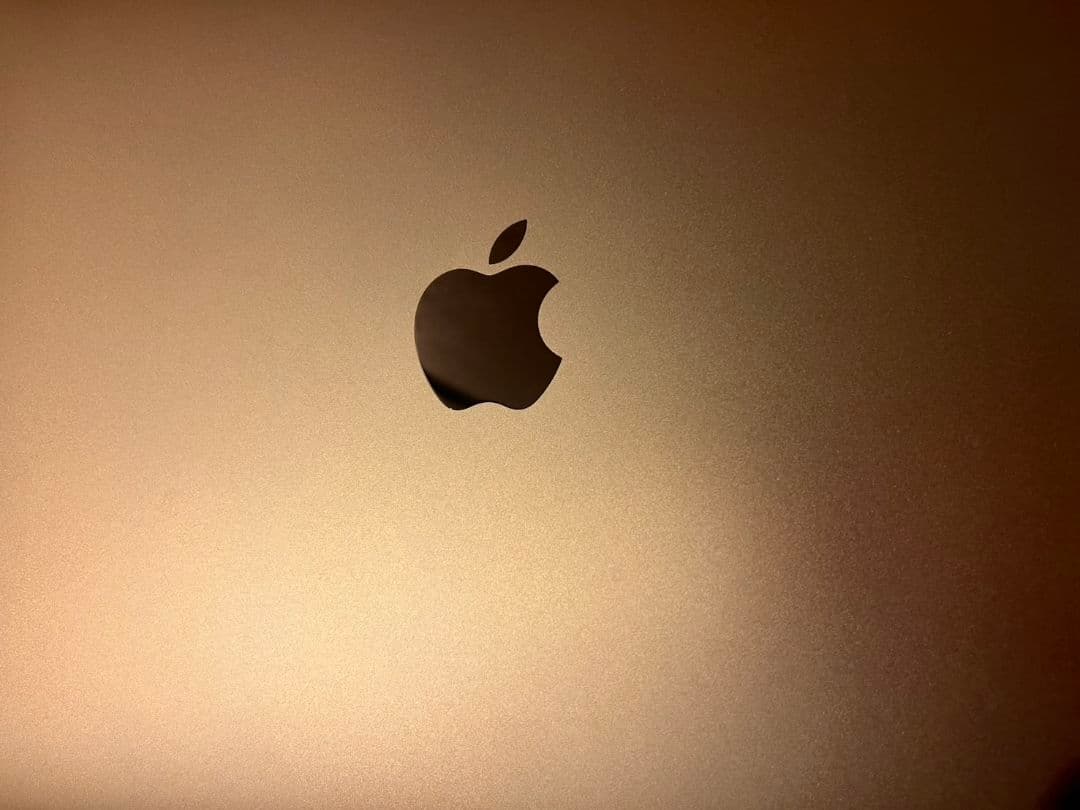 【☆超美品☆】Apple M1チップ 13インチ MacBook Air