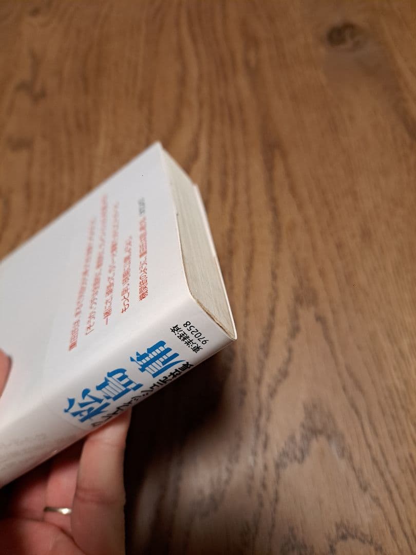 追われ者 松島庸