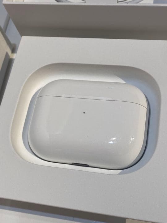 Apple AirPods Pro MLWK3JA ケースのみ