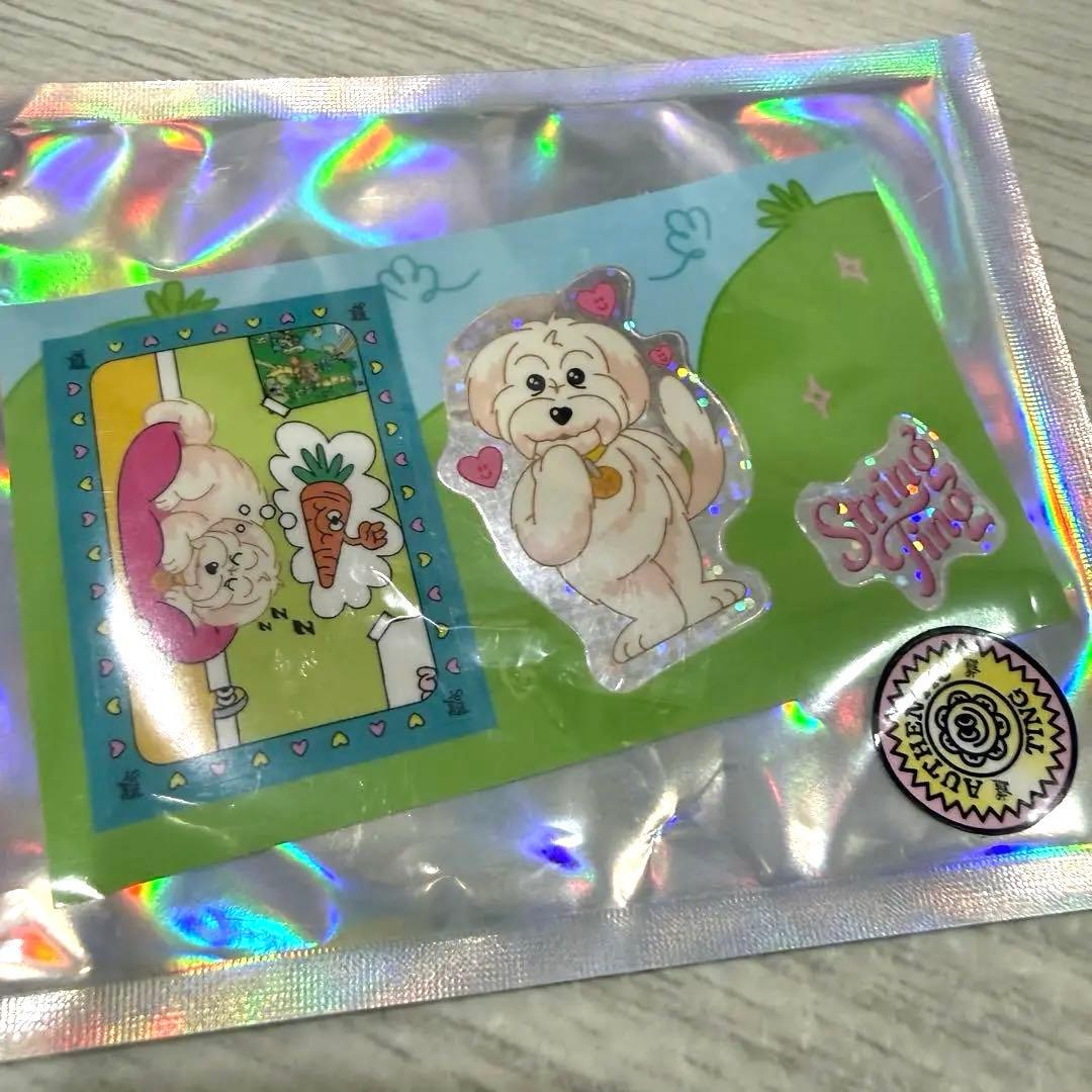 【正規品】 ストリングティング ストラップ StringTing