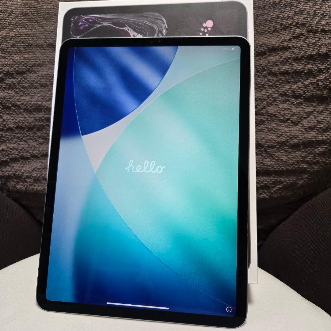 iPad Pro 第1世代 11インチ A1980 64GB Gray