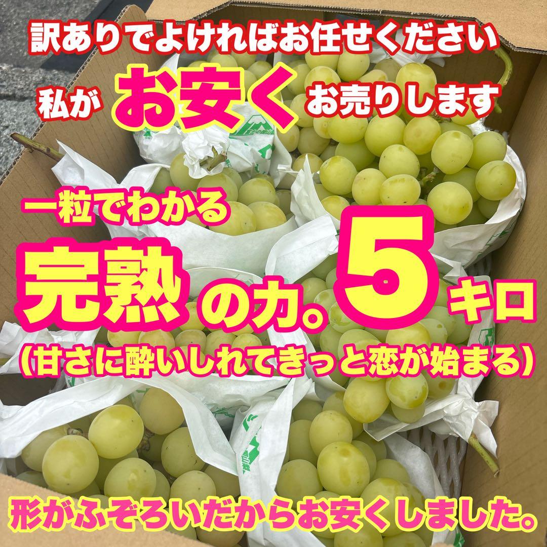 「恋の魔法は、とろける甘さから」 完熟タイプのシャインは私がお安く売ります。