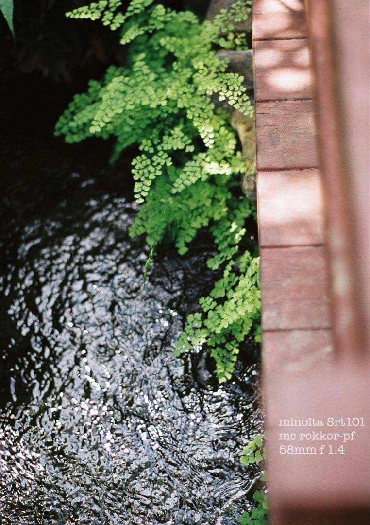 ★ミノルタsrt101★ロッコールf1.4 ★完動品＊美品＊初期保証＊作例多数