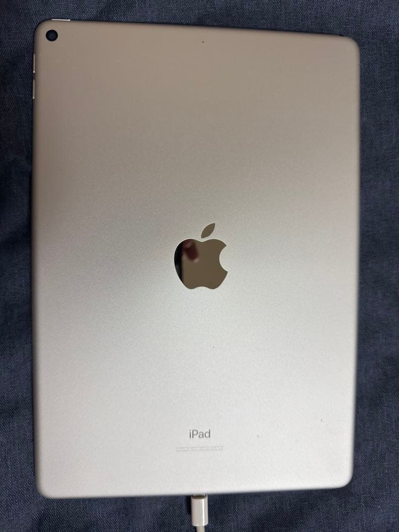 10.5インチiPad Air 第3世代 256GB 本体+キャリーケース