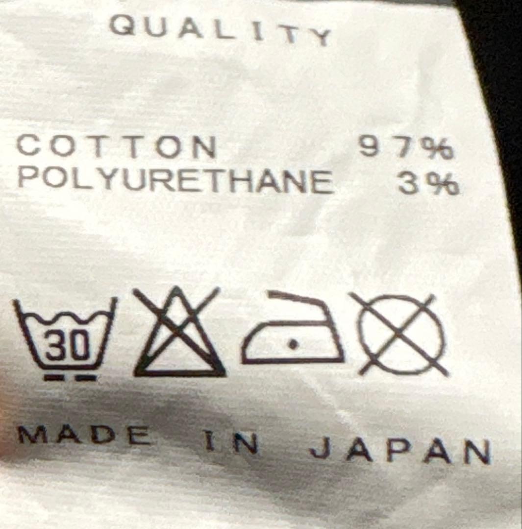 超希少juliusコーティングガスマスクカーゴパンツ　細美武士dark wear