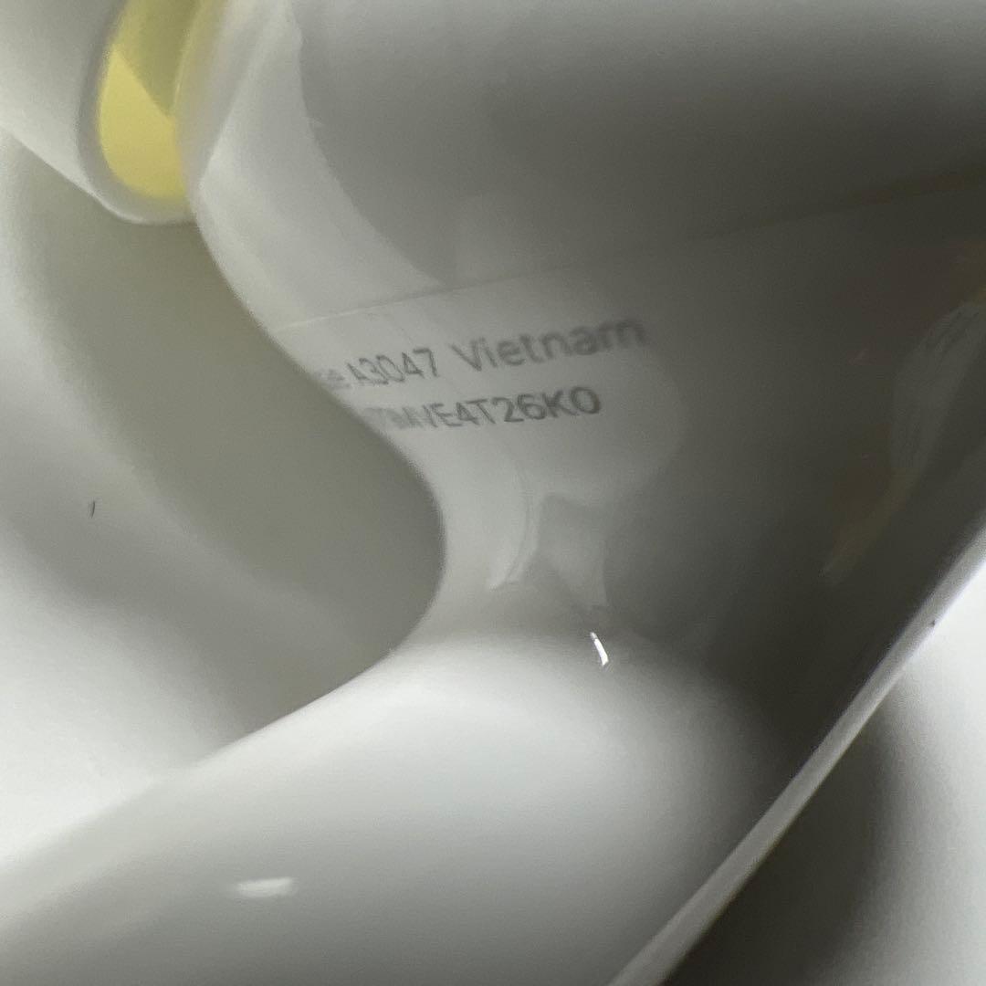 Apple AirPods Pro 第2世代 USB-C 両耳 [63]