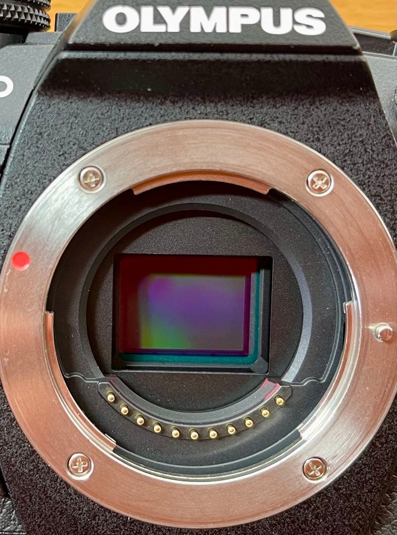 OLYMPUS ミラーレス一眼カメラ OM-D E-M1 MarkII