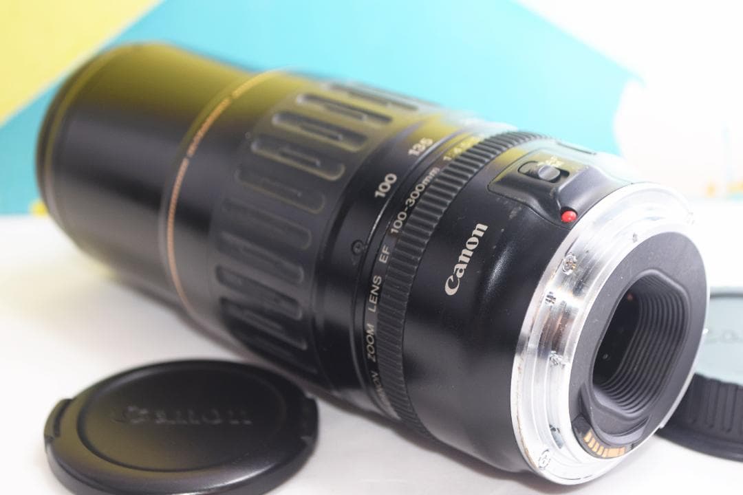 イベントなどで大活躍の超望遠☆キャノン EF 100-300mm♡