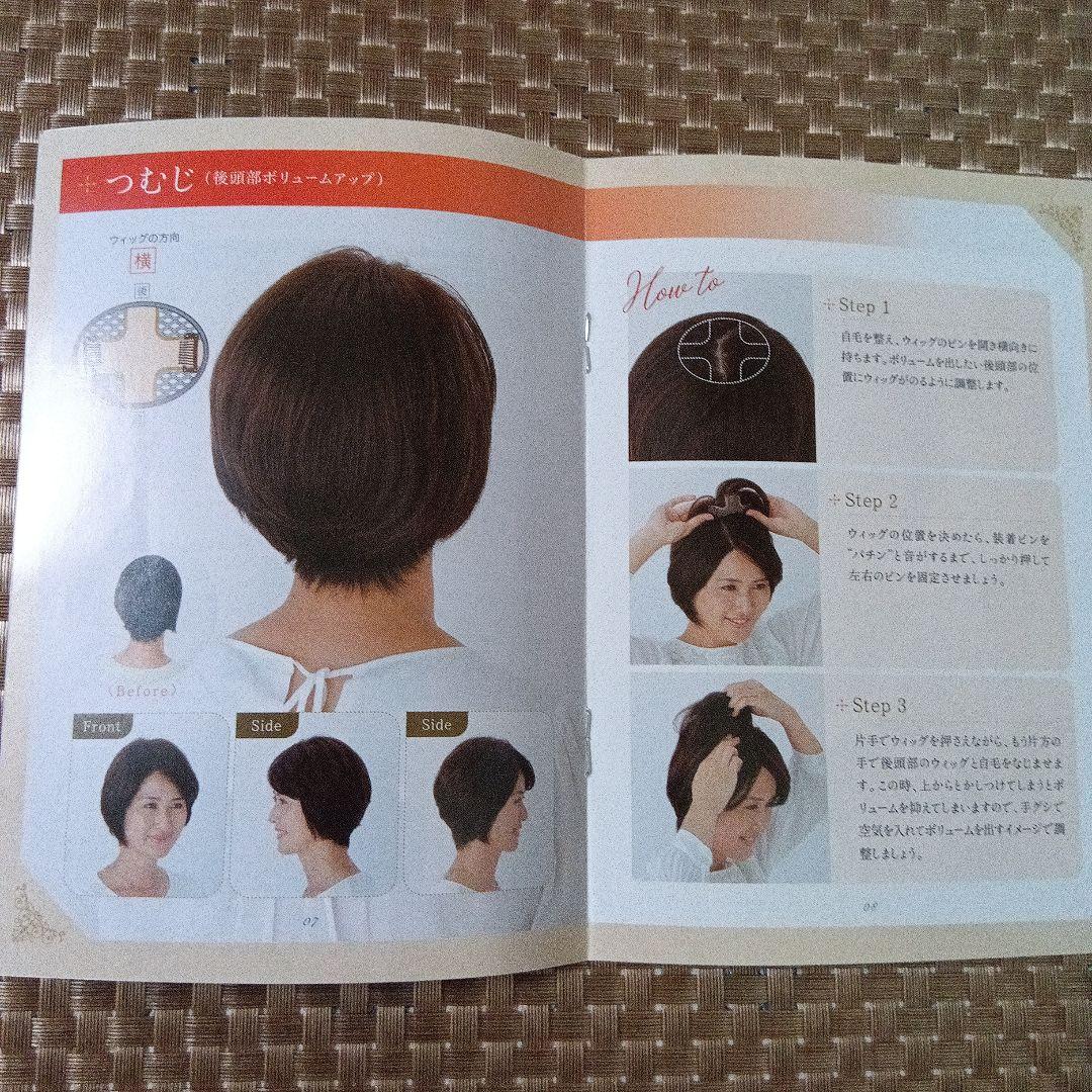 アートネイチャー JOジュリア・オージェ （部分ウイッグ）