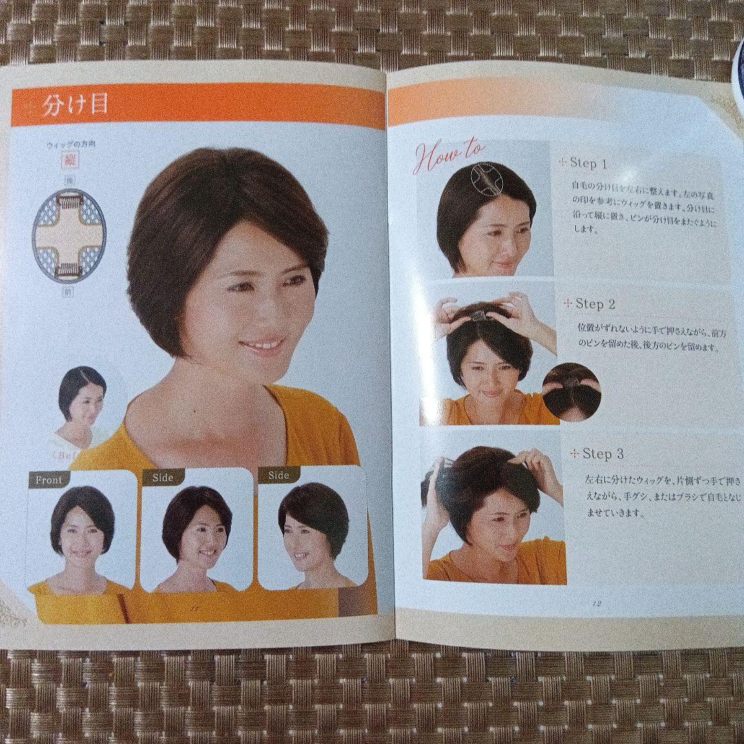 アートネイチャー JOジュリア・オージェ （部分ウイッグ）