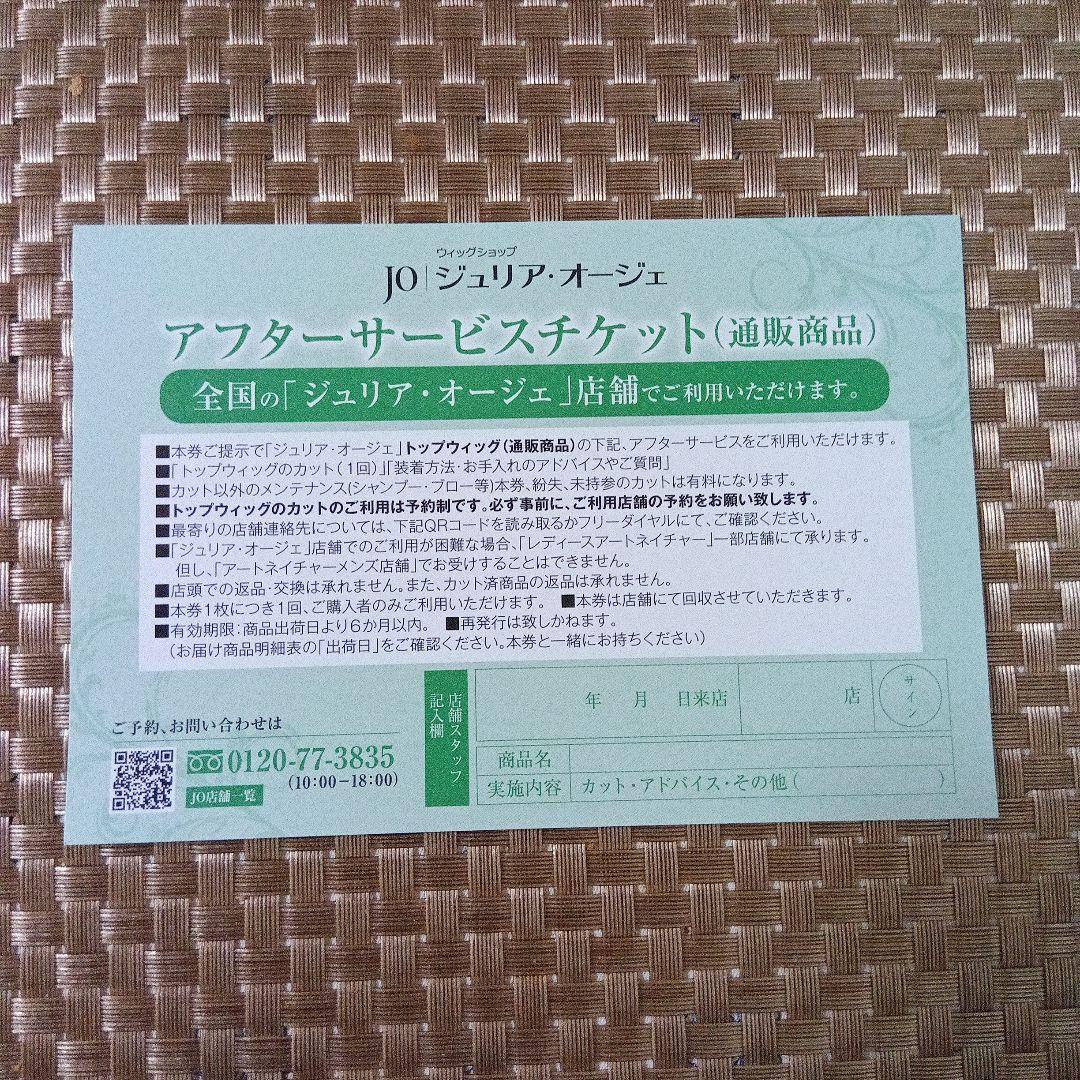 アートネイチャー JOジュリア・オージェ （部分ウイッグ）