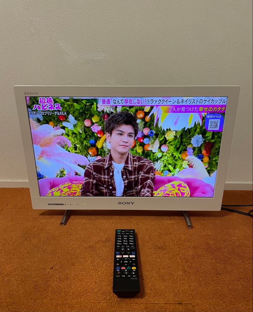 SONY BRAVIA KDL-22EX420 液晶テレビ 外付HDD録画対応