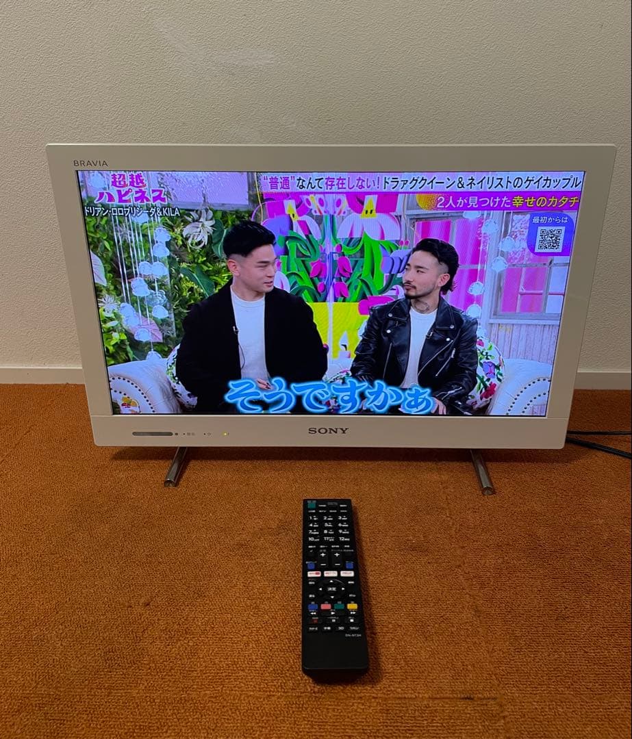 SONY BRAVIA KDL-22EX420 液晶テレビ 外付HDD録画対応