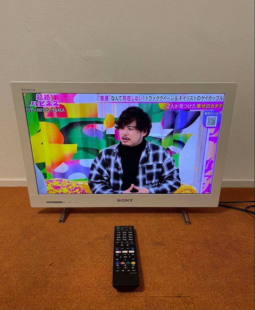 SONY BRAVIA KDL-22EX420 液晶テレビ 外付HDD録画対応