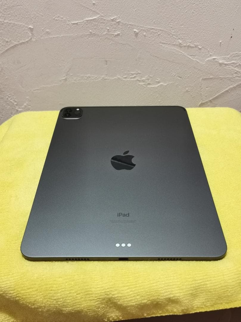 第三世代 iPad Pro 11インチ(WiFi 256GB)+純正Pencil