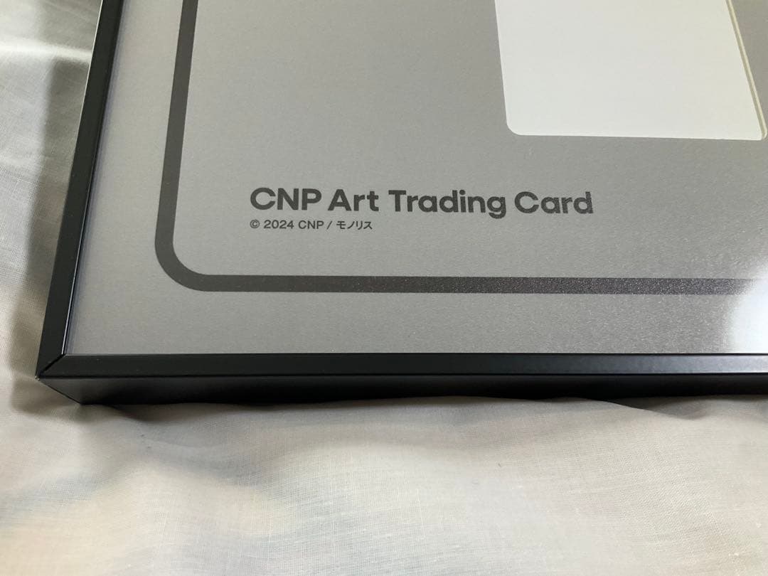 CNPトレカ　オリジナル 額縁　Lサイズ　21枚収納