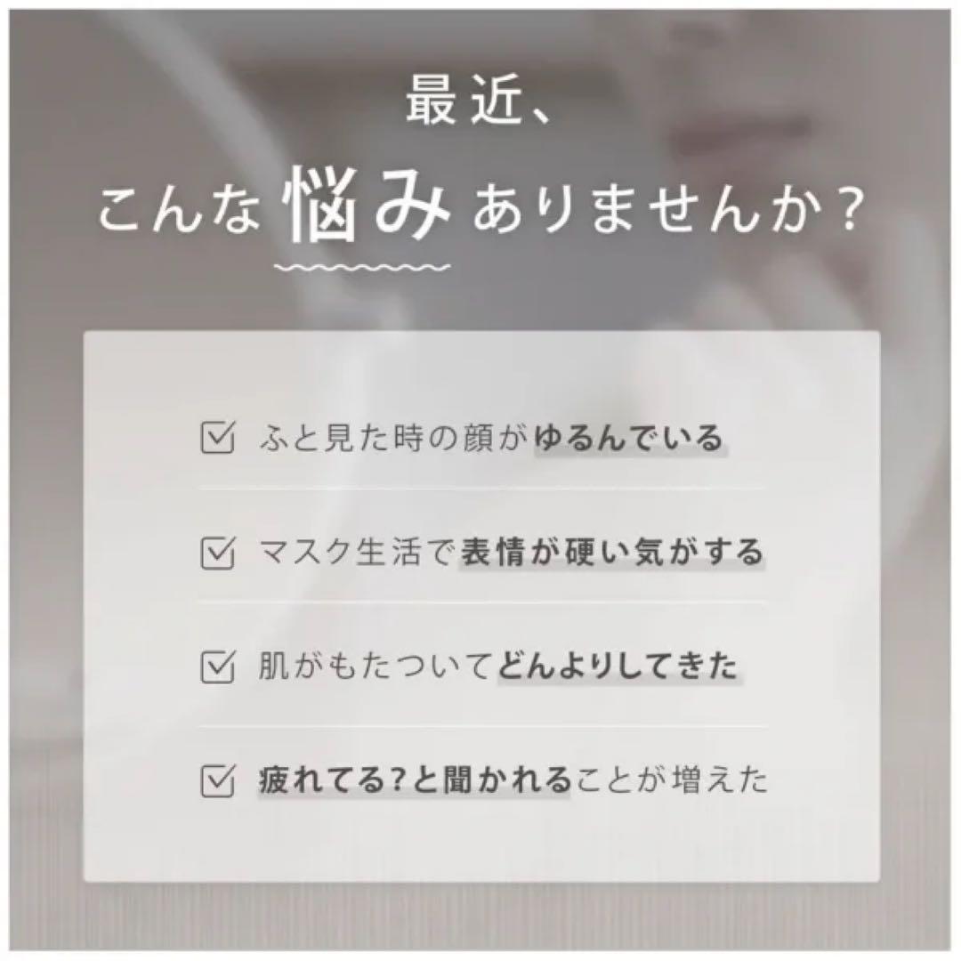 SALONIAサロニアEMSリフトブラシ SAL22206SL EMS美顔器