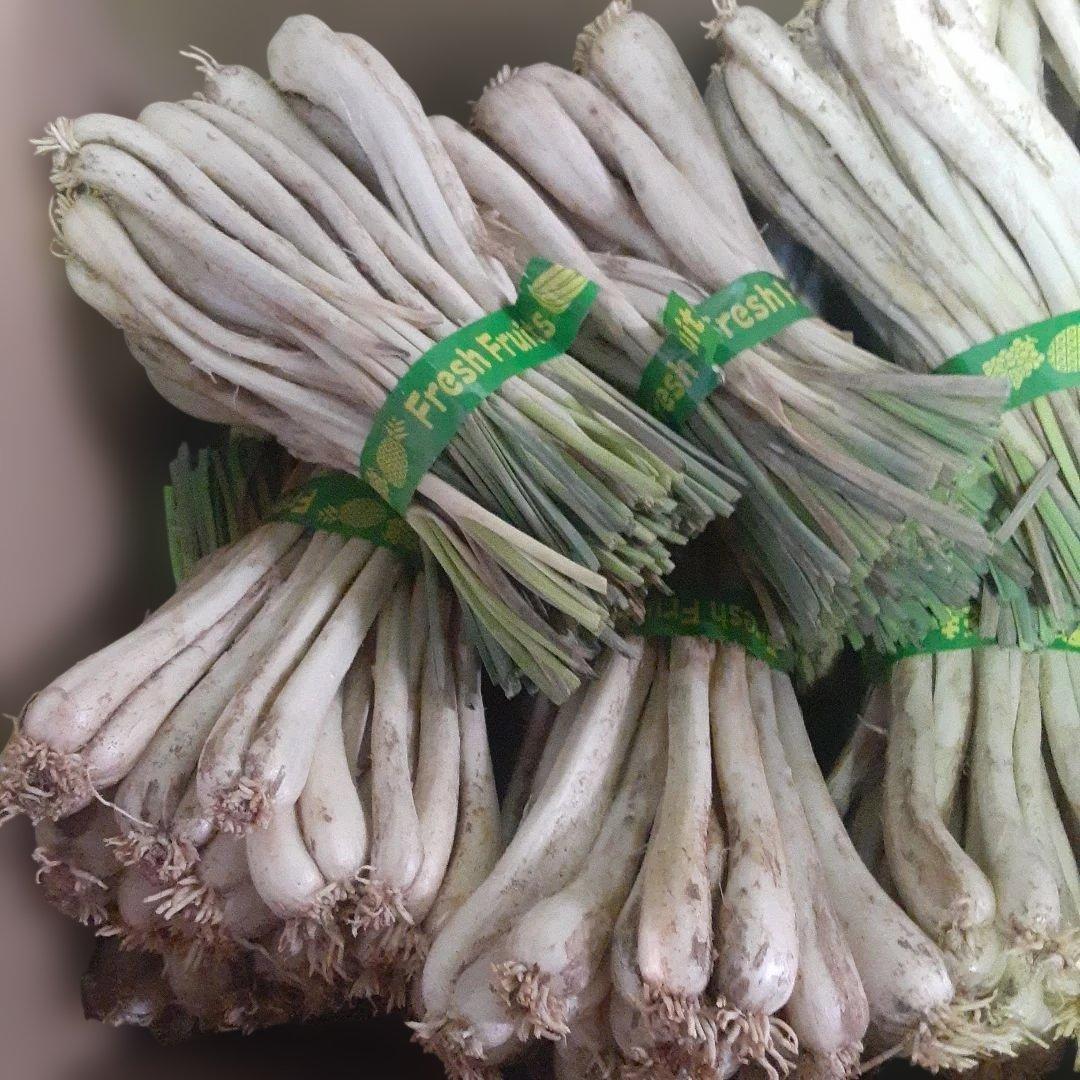 沖縄県産♪島らっきょう10㎏①