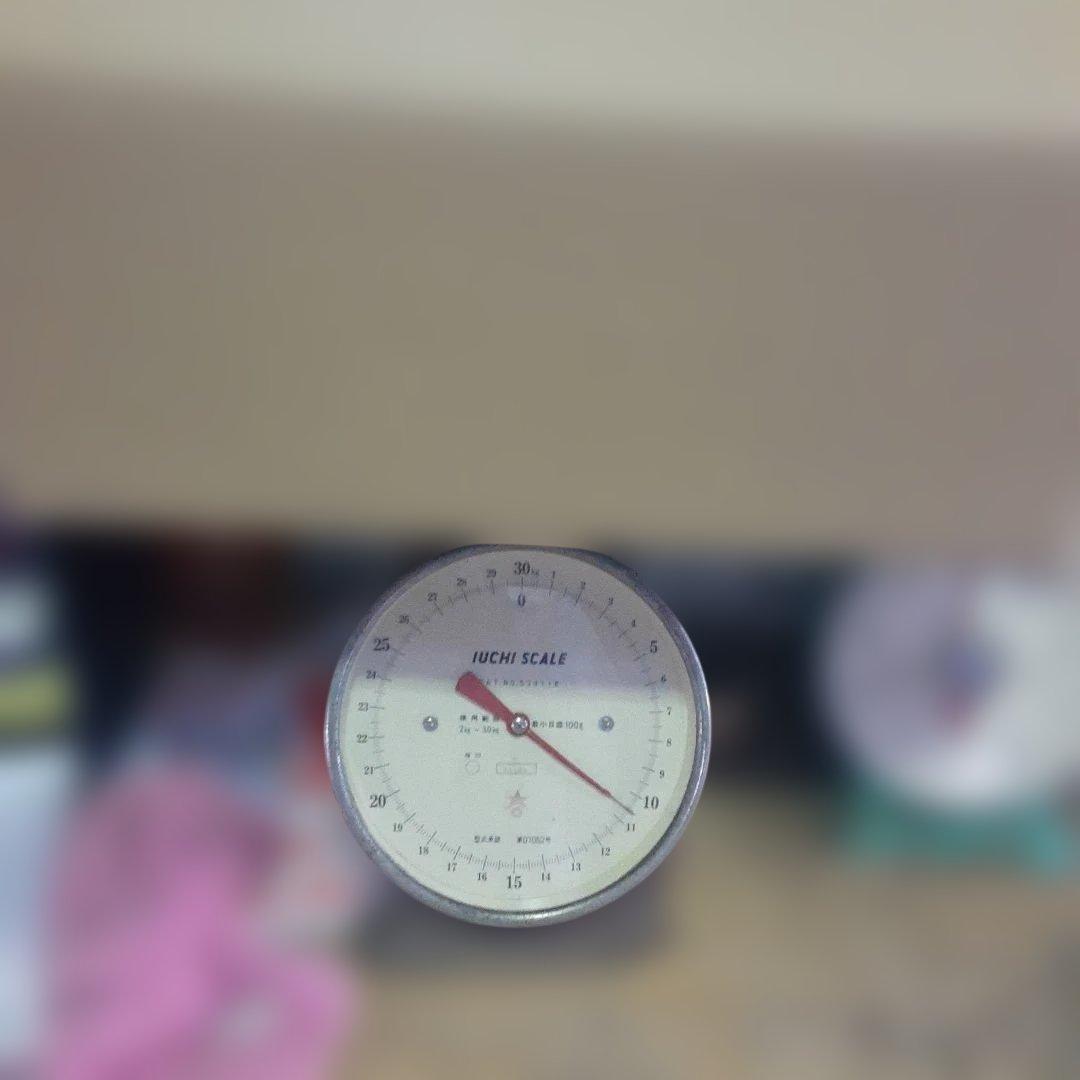 沖縄県産♪島らっきょう10㎏①