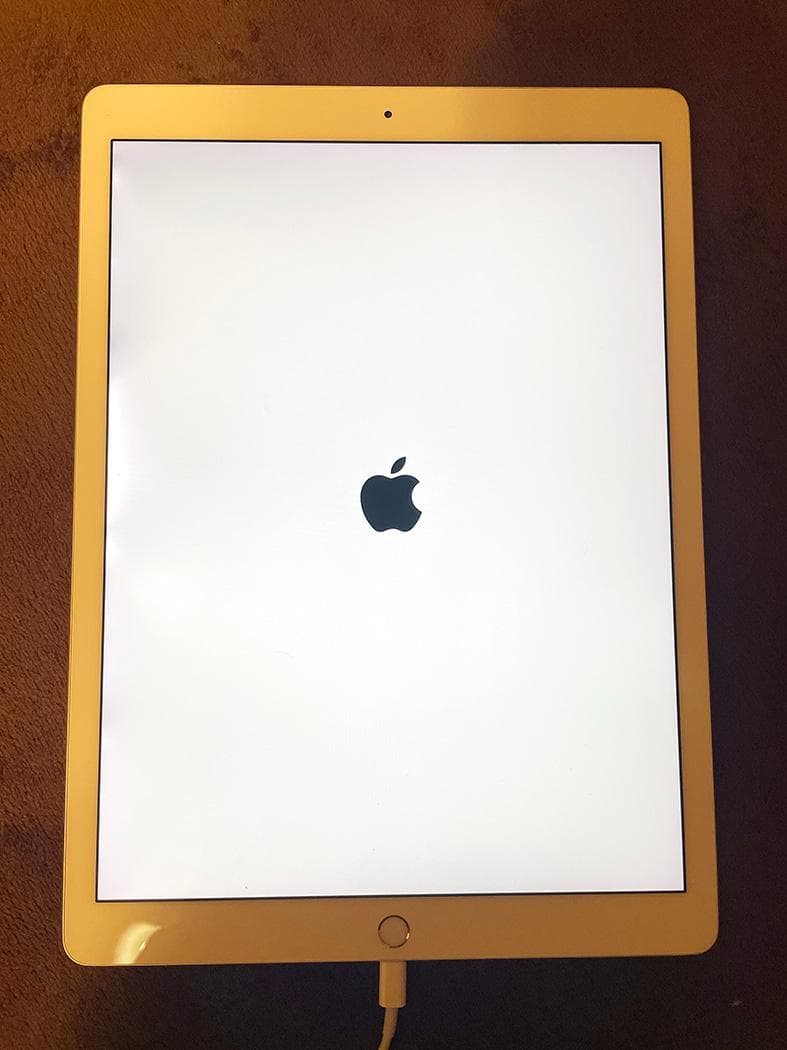 Apple iPad シルバー 本体とApple Pencilとケース（おまけ）