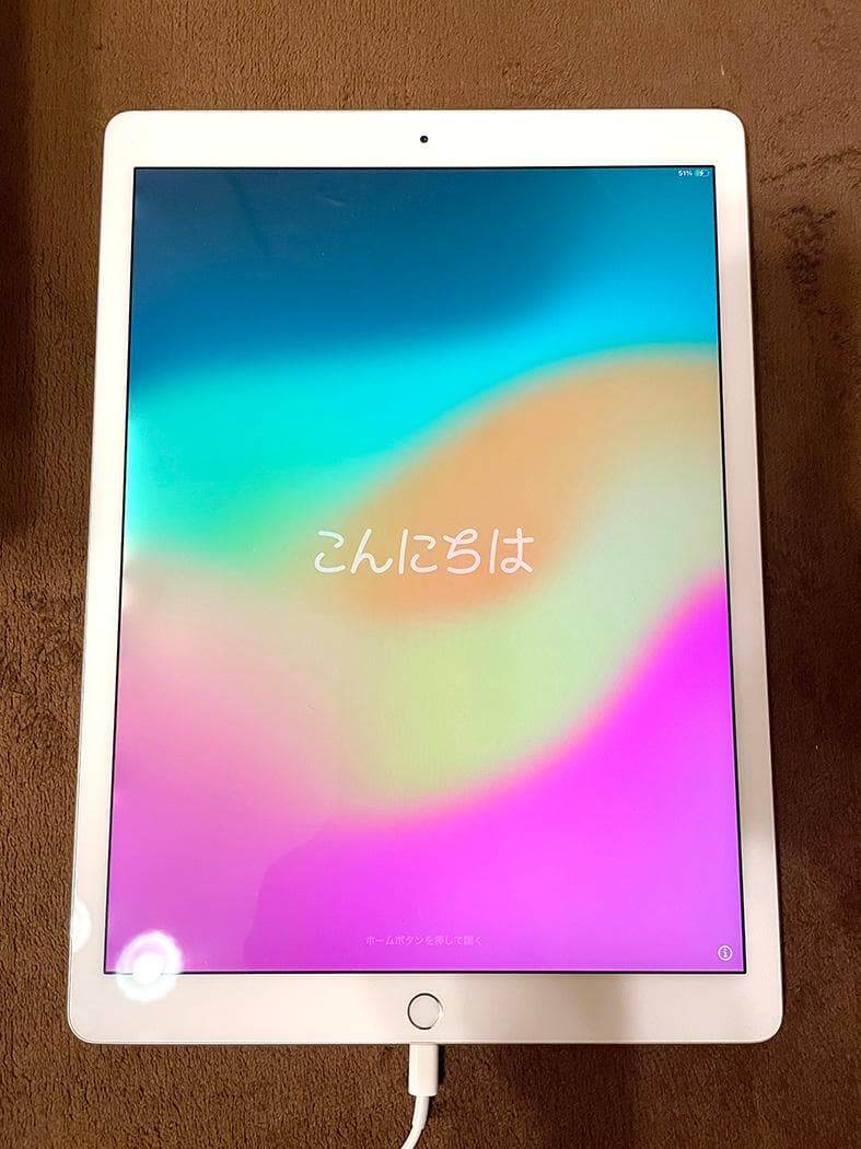 Apple iPad シルバー 本体とApple Pencilとケース（おまけ）