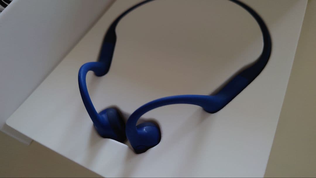 Shokz OpenRun Mini 骨伝導イヤホン ブルー