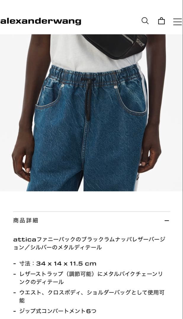 美品！アレキサンダーワン ウエストポーチ