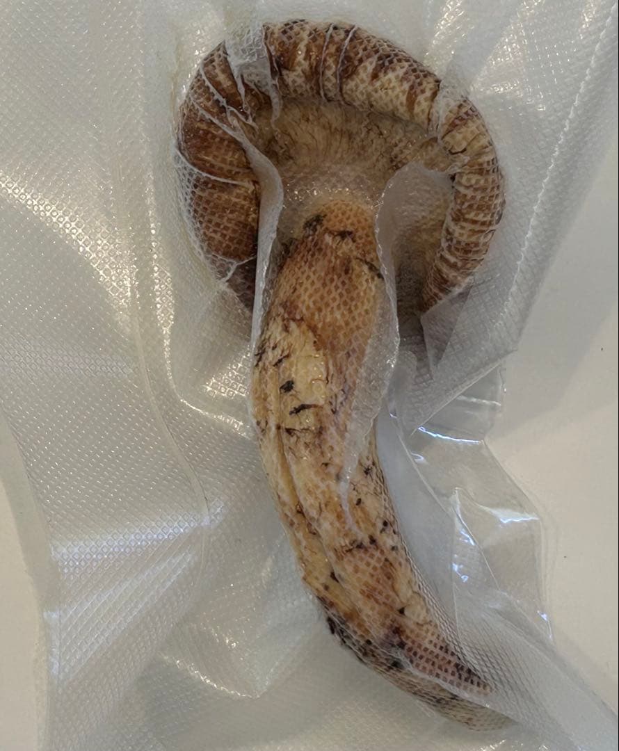 ☆信州産松茸☆開きの冷凍松茸130グラム☆まつたけ☆国産松茸☆⑨☆