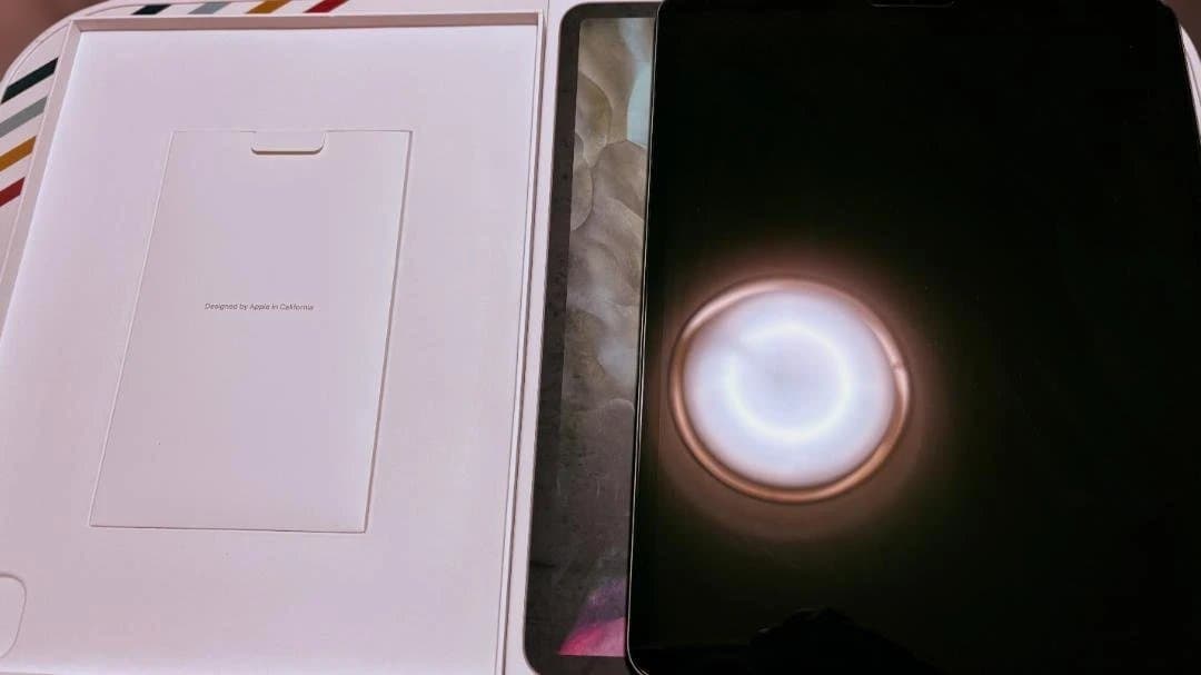 Apple iPad Pro (12.9インチ) 第4世代 本体