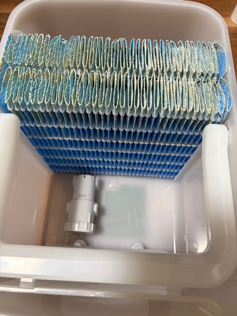 SHARP 加湿器 HV-S75-W ホワイト　2024年製