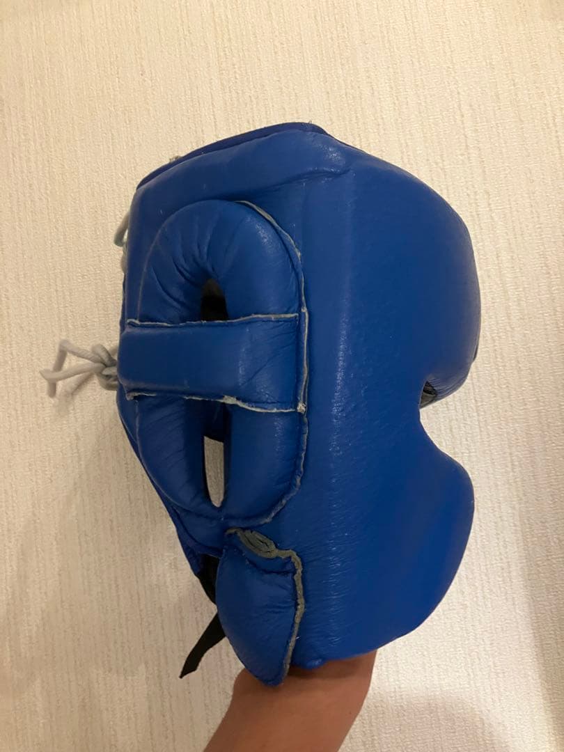 Winning ヘッドギア フルフェイスタイプ ブルー L FG-2900