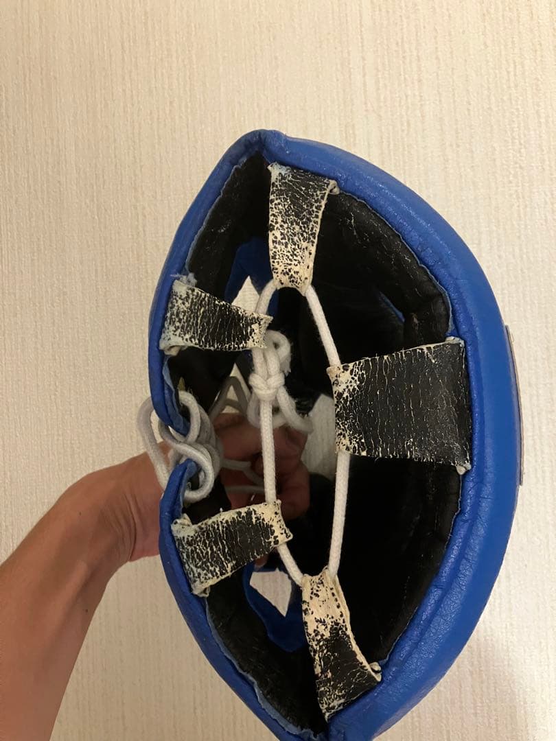 Winning ヘッドギア フルフェイスタイプ ブルー L FG-2900